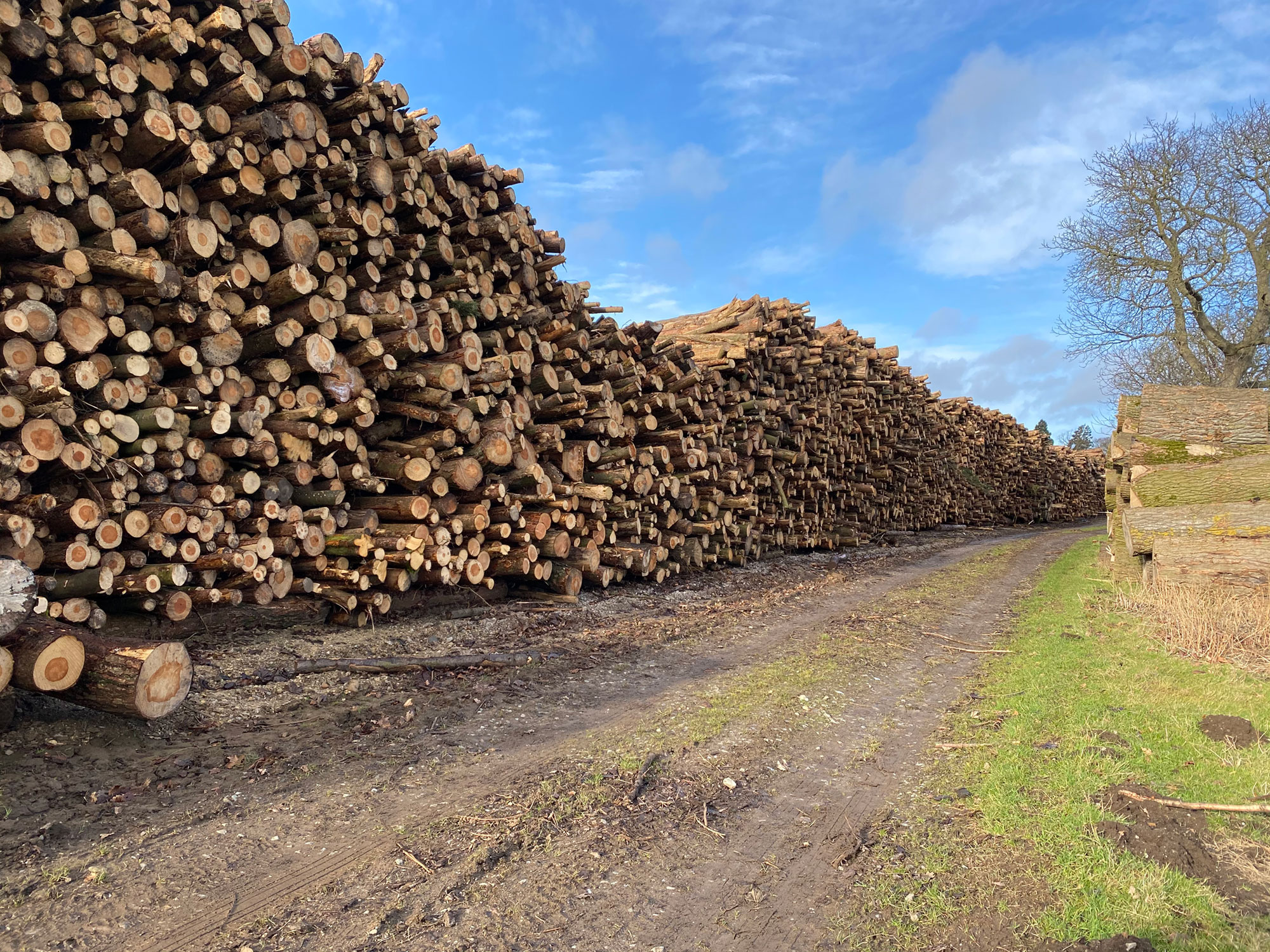 About Us - North Yorkshire Woodchip